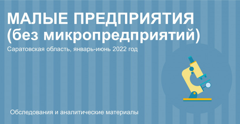 Малые предприятия (без микропредприятий) по Саратовской области за январь-июнь 2022 год